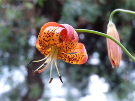 Foto: Dr. Peter Müller